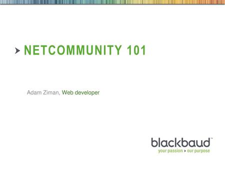 Netcommunity 101 Adam Ziman, Web developer TITLE SLIDE.