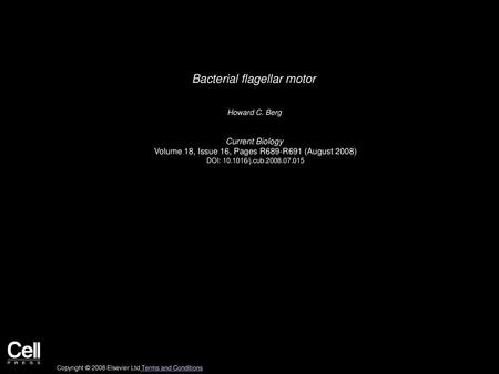 Bacterial flagellar motor