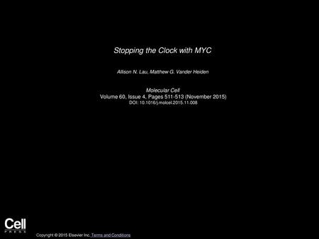 Stopping the Clock with MYC