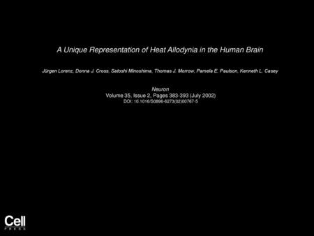 A Unique Representation of Heat Allodynia in the Human Brain