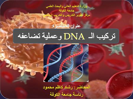 تركيب الـ DNA وعملية تضاعفه