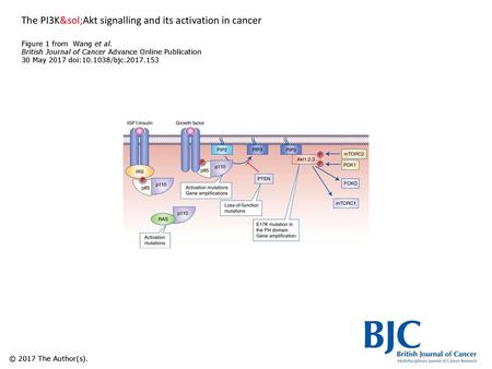 The PI3K/Akt signalling and its activation in cancer