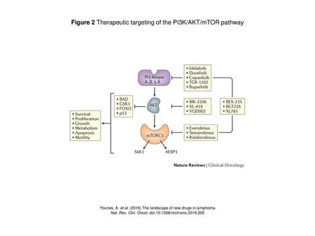 Figure 2 Therapeutic targeting of the PI3K/AKT/mTOR pathway