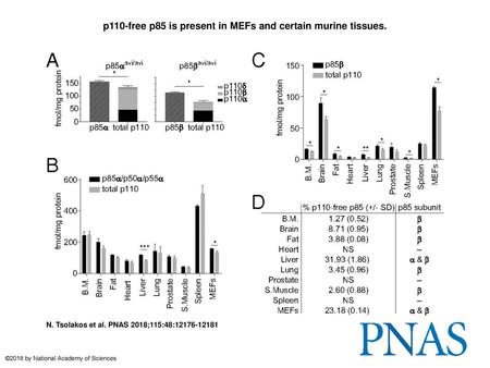 p110-free p85 is present in MEFs and certain murine tissues.