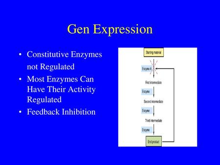 Gen Expression Constitutive Enzymes not Regulated