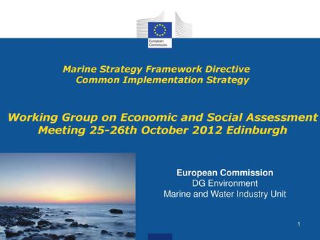 Marine Strategy Framework Directive Common Implementation Strategy