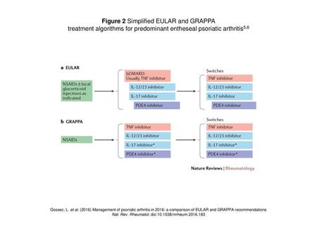 Figure 2 Simplified EULAR and GRAPPA