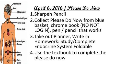 April 6, 2016 / Please Do Now Sharpen Pencil