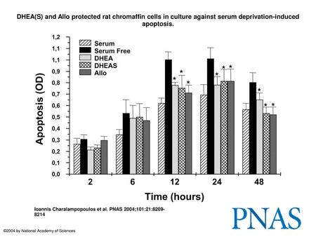 DHEA(S) and Allo protected rat chromaffin cells in culture against serum deprivation-induced apoptosis. DHEA(S) and Allo protected rat chromaffin cells.