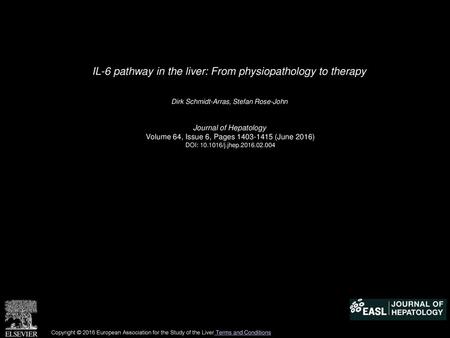 IL-6 pathway in the liver: From physiopathology to therapy