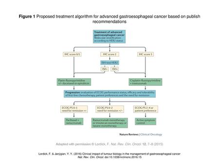 Figure 1 Proposed treatment algorithm for advanced gastroesophageal cancer based on publish recommendations Figure 1 | Proposed treatment algorithm for.