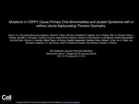 Mutations in CSPP1 Cause Primary Cilia Abnormalities and Joubert Syndrome with or without Jeune Asphyxiating Thoracic Dystrophy  Karina Tuz, Ruxandra.