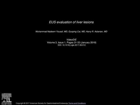 EUS evaluation of liver lesions