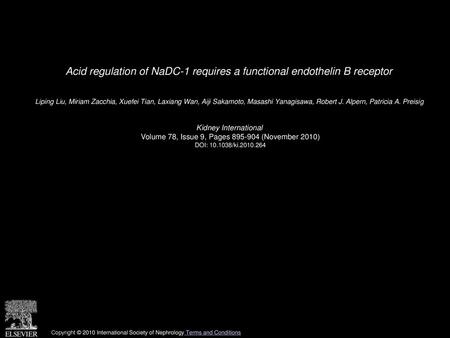 Acid regulation of NaDC-1 requires a functional endothelin B receptor