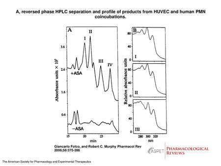 A, reversed phase HPLC separation and profile of products from HUVEC and human PMN coincubations. A, reversed phase HPLC separation and profile of products.
