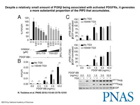 Despite a relatively small amount of PI3Kβ being associated with activated PDGFRs, it generates a more substantial proportion of the PIP3 that accumulates.
