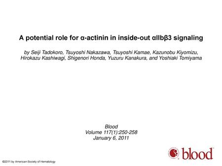 A potential role for α-actinin in inside-out αIIbβ3 signaling