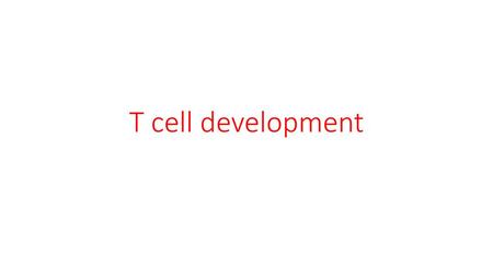 T cell development.