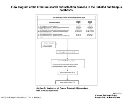 Flow diagram of the literature search and selection process in the PubMed and Scopus databases. Flow diagram of the literature search and selection process.