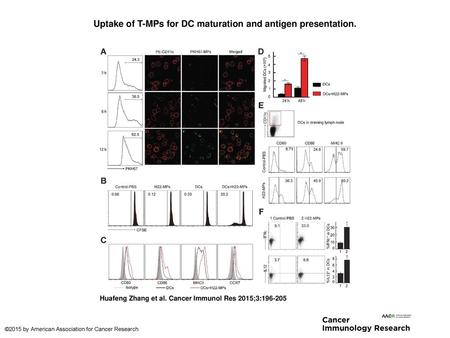 Uptake of T-MPs for DC maturation and antigen presentation.
