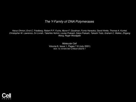 The Y-Family of DNA Polymerases