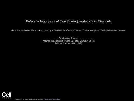 Molecular Biophysics of Orai Store-Operated Ca2+ Channels