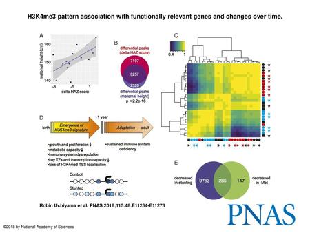 H3K4me3 pattern association with functionally relevant genes and changes over time. H3K4me3 pattern association with functionally relevant genes and changes.