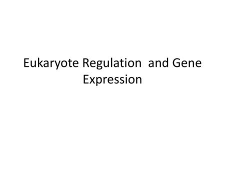Eukaryote Regulation and Gene Expression
