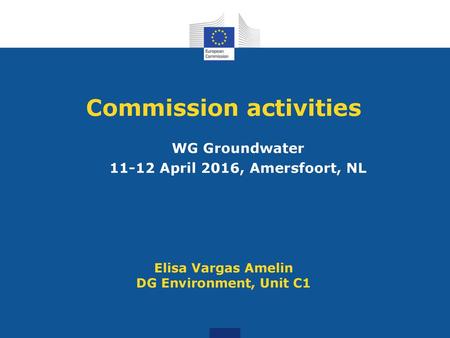 Commission activities