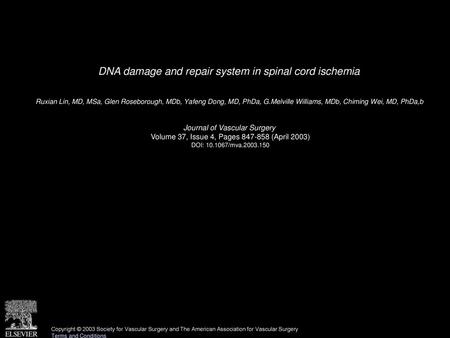 DNA damage and repair system in spinal cord ischemia