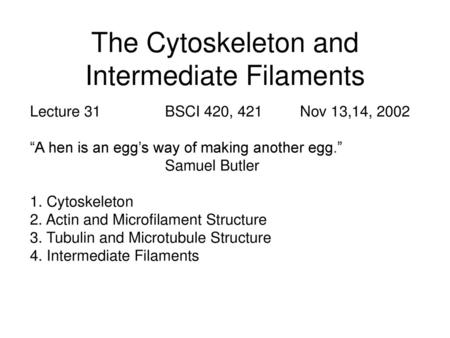 The Cytoskeleton and Intermediate Filaments