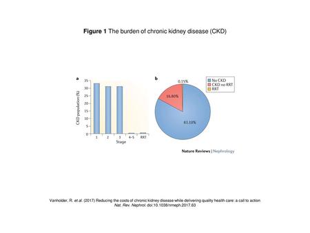 Figure 1 The burden of chronic kidney disease (CKD)