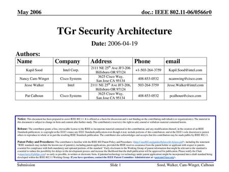 TGr Security Architecture