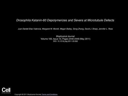 Drosophila Katanin-60 Depolymerizes and Severs at Microtubule Defects
