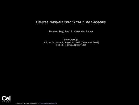 Reverse Translocation of tRNA in the Ribosome