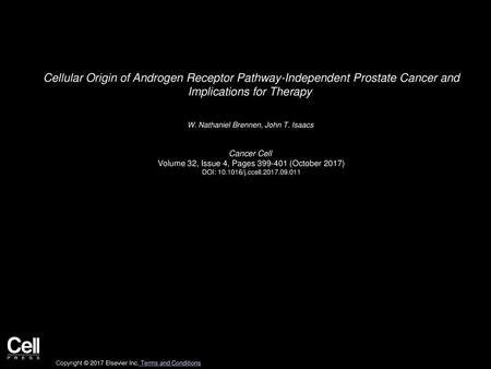 Cellular Origin of Androgen Receptor Pathway-Independent Prostate Cancer and Implications for Therapy  W. Nathaniel Brennen, John T. Isaacs  Cancer Cell 