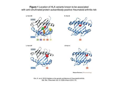 Figure 1 Location of HLA variants known to be associated