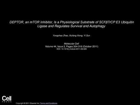 DEPTOR, an mTOR Inhibitor, Is a Physiological Substrate of SCFβTrCP E3 Ubiquitin Ligase and Regulates Survival and Autophagy  Yongchao Zhao, Xiufang Xiong,