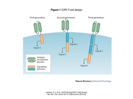 Figure 1 CAR-T-cell design