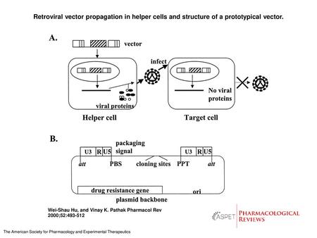 Retroviral vector propagation in helper cells and structure of a prototypical vector. Retroviral vector propagation in helper cells and structure of a.