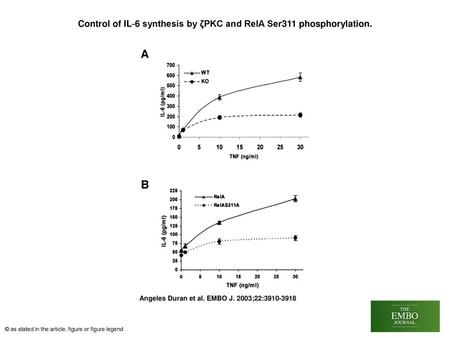 Control of IL‐6 synthesis by ζPKC and RelA Ser311 phosphorylation.