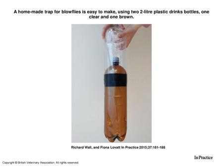 A home-made trap for blowflies is easy to make, using two 2-litre plastic drinks bottles, one clear and one brown. A home-made trap for blowflies is easy.