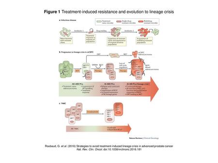 Figure 1 Treatment-induced resistance and evolution to lineage crisis