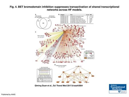 Fig. 4. BET bromodomain inhibition suppresses transactivation of shared transcriptional networks across HF models. BET bromodomain inhibition suppresses.