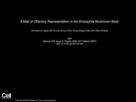 A Map of Olfactory Representation in the Drosophila Mushroom Body