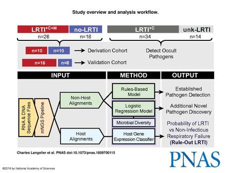 Study overview and analysis workflow.