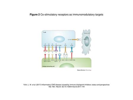 Figure 2 Co-stimulatory receptors as immunomodulatory targets