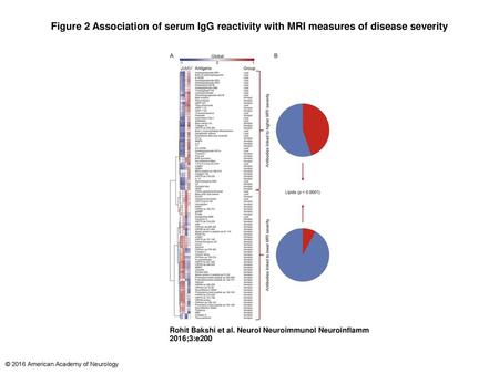 Figure 2 Association of serum IgG reactivity with MRI measures of disease severity Association of serum IgG reactivity with MRI measures of disease severity.