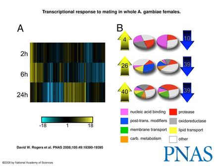 Transcriptional response to mating in whole A. gambiae females.