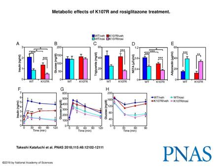 Metabolic effects of K107R and rosiglitazone treatment.